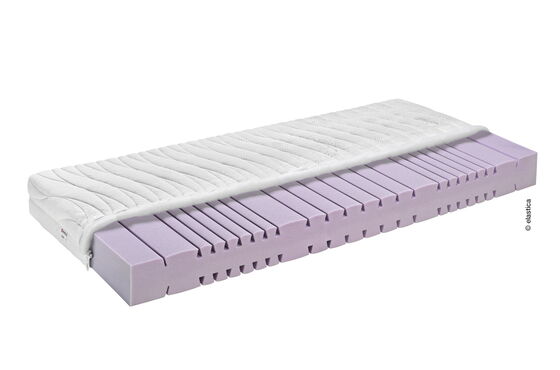 Elastica Ergonomic 17